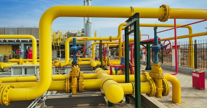 a close up of a school bus