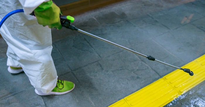 a person wearing a costume